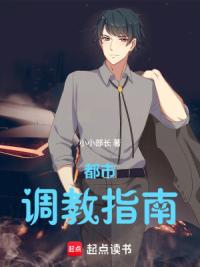 都市调教指南