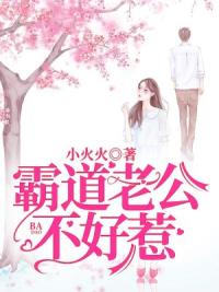 霸道老公不好惹